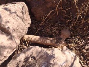 صادم و مؤلم بانزكان : عظام موتى المسلمين تطفو على السطح بمقبرة، والساكنة تَستغيث. (+صور)