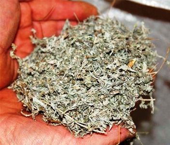 تزنيت: التنسيق بين الدرك و “بوغابة” يسقط عصابة الشيح في فخ الإعتقال بتافراوت