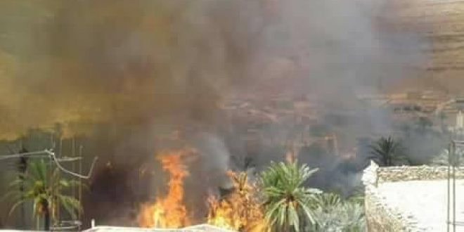 حريق مهول يشب بواحة معروفة بجهة سوس، ودق ناقوس الخطر الذي يهدد الساكنة بسبب ذلك