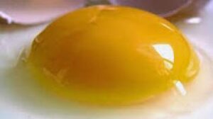 لن تصدق ماذا سيحدث لجسمك إذا أكلت صفار البيض يوميا