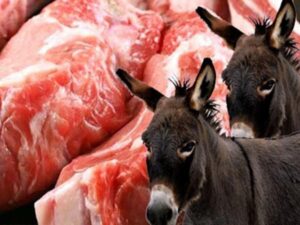 تحذير شديد من تناول لحوم الحمير بعد انتشارها الكبير في الأسواق، وهذه علاماتها: