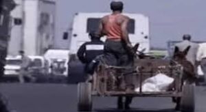 شاب يحاول إضرام النار في جسده أمام فيلا العثماني بسبب عربة تجرها دابة