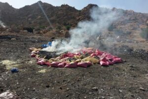 مطرح عشوائي على مشارف جماعة أملن بتافروات يقلق راحة السكان والسياح معا ويزكم أنوفهم بروائحه النتنة.