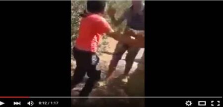 أنباء تكشف أن "الخضارة" الذين هاجموا فتاة بسبب تناولها عصير البرتقال في نهار رمضان لصوص وهذا هو الدليل