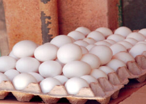 بعد حليب المغرب..إيران ترسل 20 طنا من البيض إلى قطر