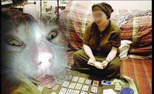 مثير:البوليس يطيح ب”شوافة” كانت تخيط أفواه القطط لسبب غريب