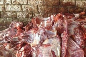 اللحوم تتصدر قائمة المواد الفاسدة المحجوزة خلال رمضان الكريم