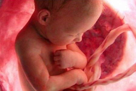الجنين يميز الوجوه البشرية في رحم أمه