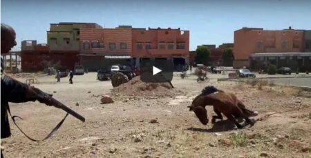 بالفيديو : لحظة إطلاق الرصاص على حصان مسعور