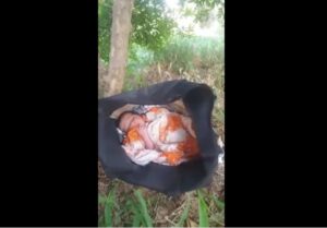 صادم: العثور على رضيعة حية داخل كيس بلاستيكي بضيعة فلاحية