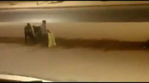 شوهة: لصوص يسرقون الأغراس التي غرستها البلدية حديثا