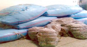 تارودانت: عناصر الدرك الملكي بالمركز القضائي تشن الحرب على تجار المخدرات بضفاف واد سوس 11 resize 3