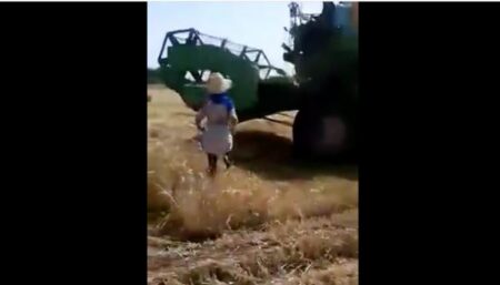فيديو صادم لسيدة أضرمت النار في محصول للقمح وحاولت الانتحار أمام آلة درس بسبب خلاف أسري فيديو صادم لسيدة أضرمت النار في محصول للقمح وحاولت الانتحار أمام آلة درس بسبب خلاف أسري