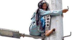 “مي عيشة” تعود لعمود “المظالم”