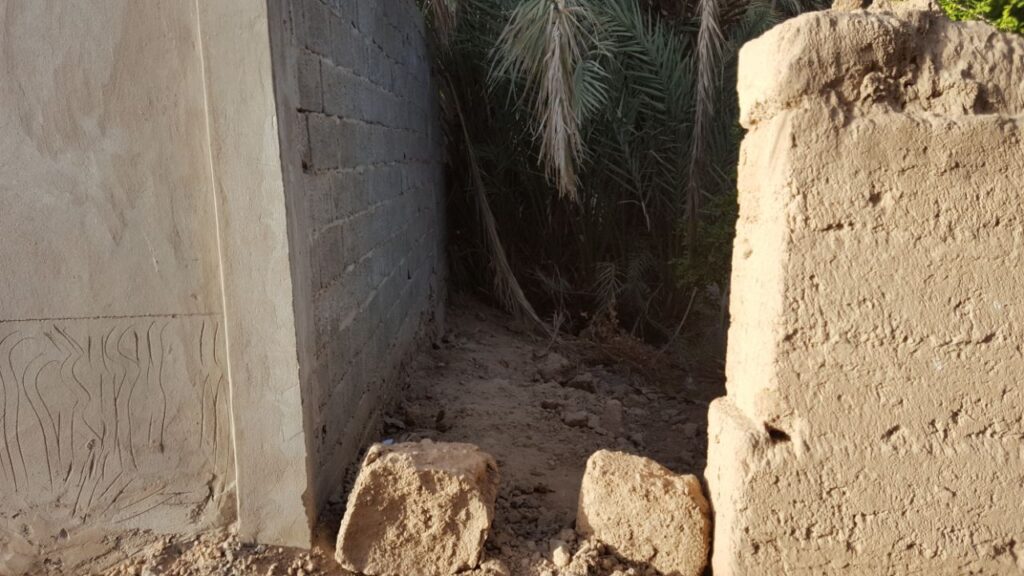 ارفود :مارأي قائد عرب الصباح زيز؟