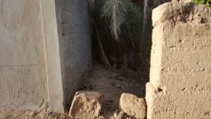 ارفود :مارأي قائد عرب الصباح زيز؟