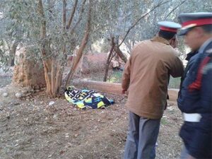 العثور على أم لطفلين معلقة في شجرة للزيتون يستنفر الدرك