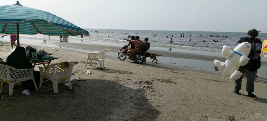 كلاب “خطيرة” تهدد سلامة المصطافين بكورنيش اكادير