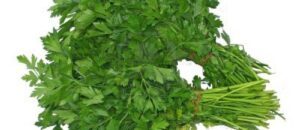 لعشاق المعدنوس : أسرار صحية مذهلة في انتظاركم