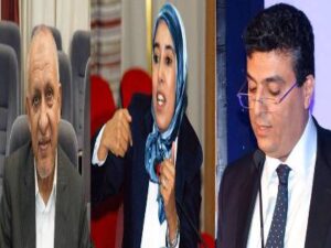 بعد اسقاط مقعد البام بأكادير ..ماء العينين تدافع عن حميد وهبي وتؤيد استعمال العلم الوطني 7 Présentation1