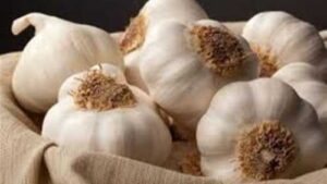 5 أسباب تجعلك تتناول الثوم دائما