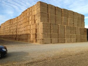 سابقة غريبة بسيدي إفني: سائق يخفي سيارته داخل التبن بعد أن دهس بها صاحب دراجة نارية