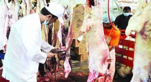 بياطرة يشتغلون بدبلومات أوكرانية لا تخول لهم صفة طبيب