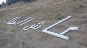 (+فيديو)عاش الملك » تقود 70 شخصا إلى الشخص