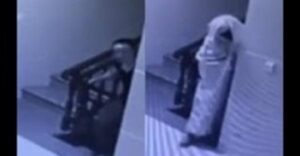 بالفيديو..لص غبي يتظاهر بأنه «عفريت» ليهرب من مسرح الجريمة