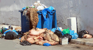 هذه هي خطة “الحكومة” لتفادي تراكم الأزبال أيام عيد الأضحى