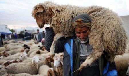 عصابة "الفراقشية" تذبح شيخا في منزله لسرقة ماشيته في تارودانت