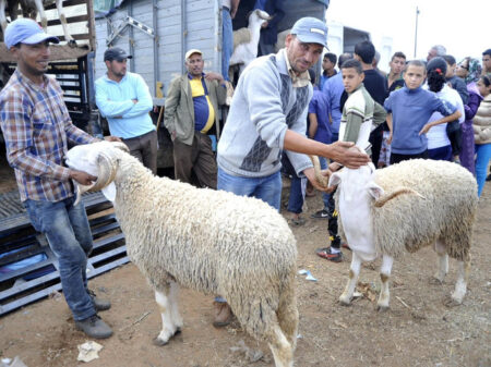 هام:هذا هو موعد عيد الأضحى المبارك بالمغرب