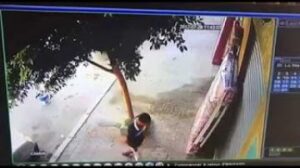 لحظة إقدام شخصين على سرقة « زربية » من أحد المحلات المتخصصة في بيع الأثاث