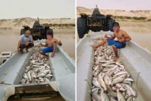 جريمة بشعة في حق الثروة السمكية أبطالها أبناء مخيم صيفي.