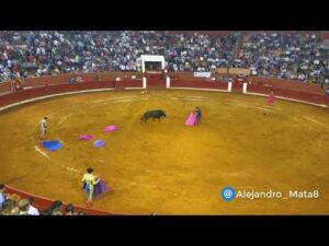 ثور هائج يغرز قرونه في صدر مُصارع ثيران