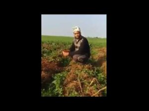 فضيحة وبالفيديو..فلاح مغربي يفجرها مدوية: كنبيعو ليهم الحليب بـ2 دراهم كيبيوعوه غالي