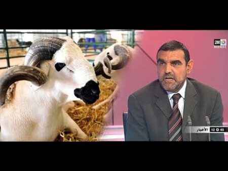 دكتور مغربي يكشف أسرار عيد الأضحى ويشرح مايحدث عن ذبح الخروف