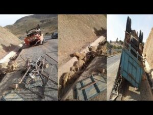 مصرع شخص ونفوق عشرات الأغنام في حادث انقلاب شاحنة في الطريق الرابط بين تاوريرت وجرادة