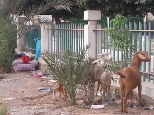 حديقة دشنها الملك تتعرض للتهميش وسط اكادير (صور صادمة)