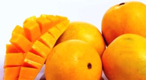 باكستانيون يعرضون ملكة الفاكهة بكورنيش أكادير.