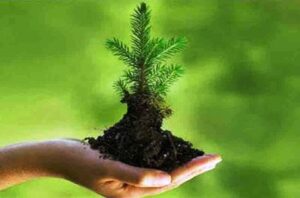 الحافيدي: جهة سوس ماسة أكثر جهات المملكة قيادة للمشاريع البيئية.