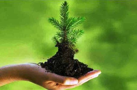 الحافيدي: جهة سوس ماسة أكثر جهات المملكة قيادة للمشاريع البيئية.