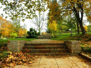 نصائح للحفاظ على الصحة في فصل الخريف