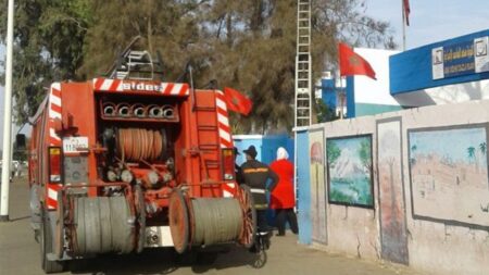 +صور: رجال الوقاية المدنية ينقدون قطة صغيرة معلقة بشجرة قرب مؤسسة تعليمية بأكادير، وسط تصفيقات الحاضرين