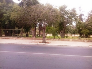 مطالب بالتدخل لإنقاد “إبن زيدون” بقلب أكادير