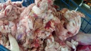 درك أكادير يحجز كمية هامة من أحشاء المواشي المجمدة كانت موجهة لبطون المواطنين، وهذا ما كشف عنه التحقيق في النازلة.