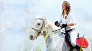 إعتقال سيدة بتهمة “قيادة حصان تحت تأثير الكحول”