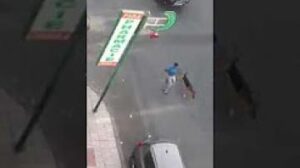 مشرملون يروعون التلاميذ بالكلاب أمام مؤسستهم التعليمية