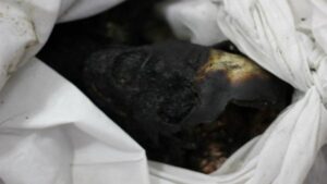 فتح تحقيق لفك لغز العثور على حفار القبور، جثة متفحمة. 3 q 21