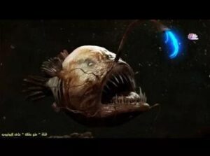 مخلوقات غريبة – لن تصدق أنها موجودة بالفعل